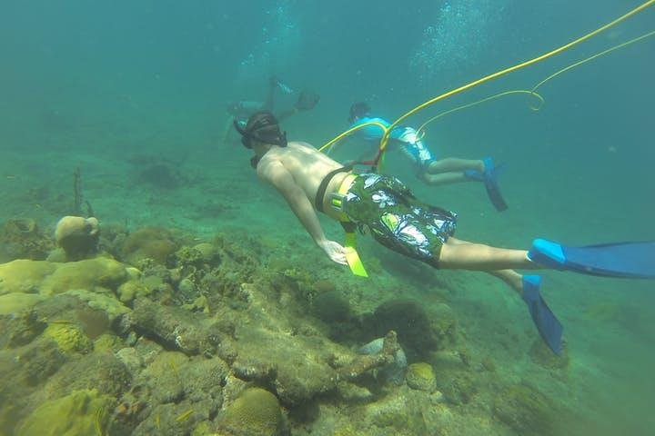 OCTOPUS DIVING (hookah diving) NO Experience Needed - Photo 1 of 2